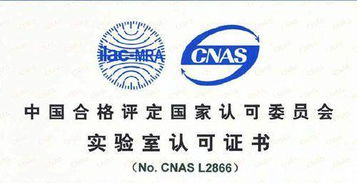 CNAS認(rèn)可的專(zhuān)業(yè)咨詢(xún)單位機(jī)構(gòu)在軟件開(kāi)發(fā)領(lǐng)域的作用